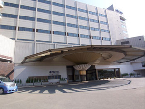 和倉温泉のホテル群。立派なホテル・旅館が25軒位あります。